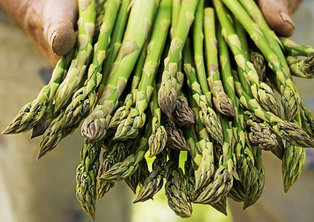 Asparagi freschi alta qualità